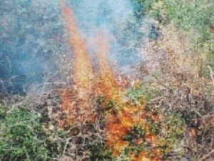 air force reserve stations