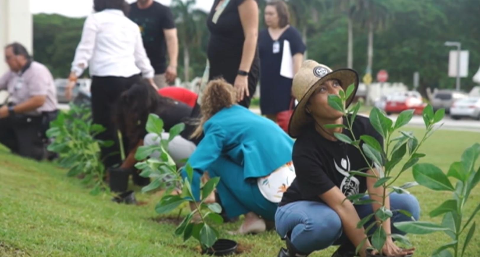 Native trees planted at Guam Congress Building - KUAM.com-KUAM News: On ...