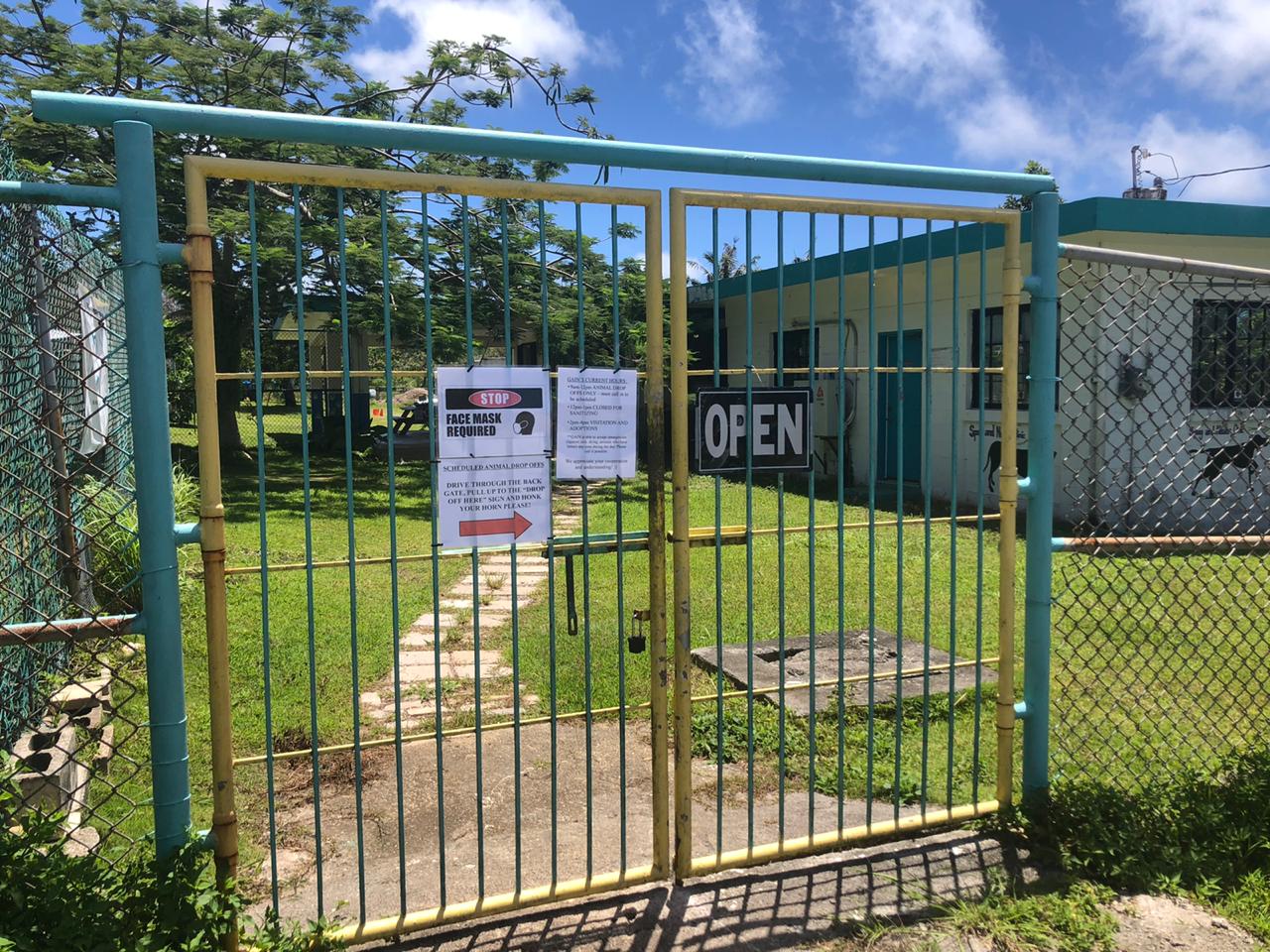 Guam Animals in Need reopens shelter, offering families four-legged