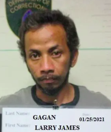 Larry Gagan pleads not guilty to murder - Vimarsana News
