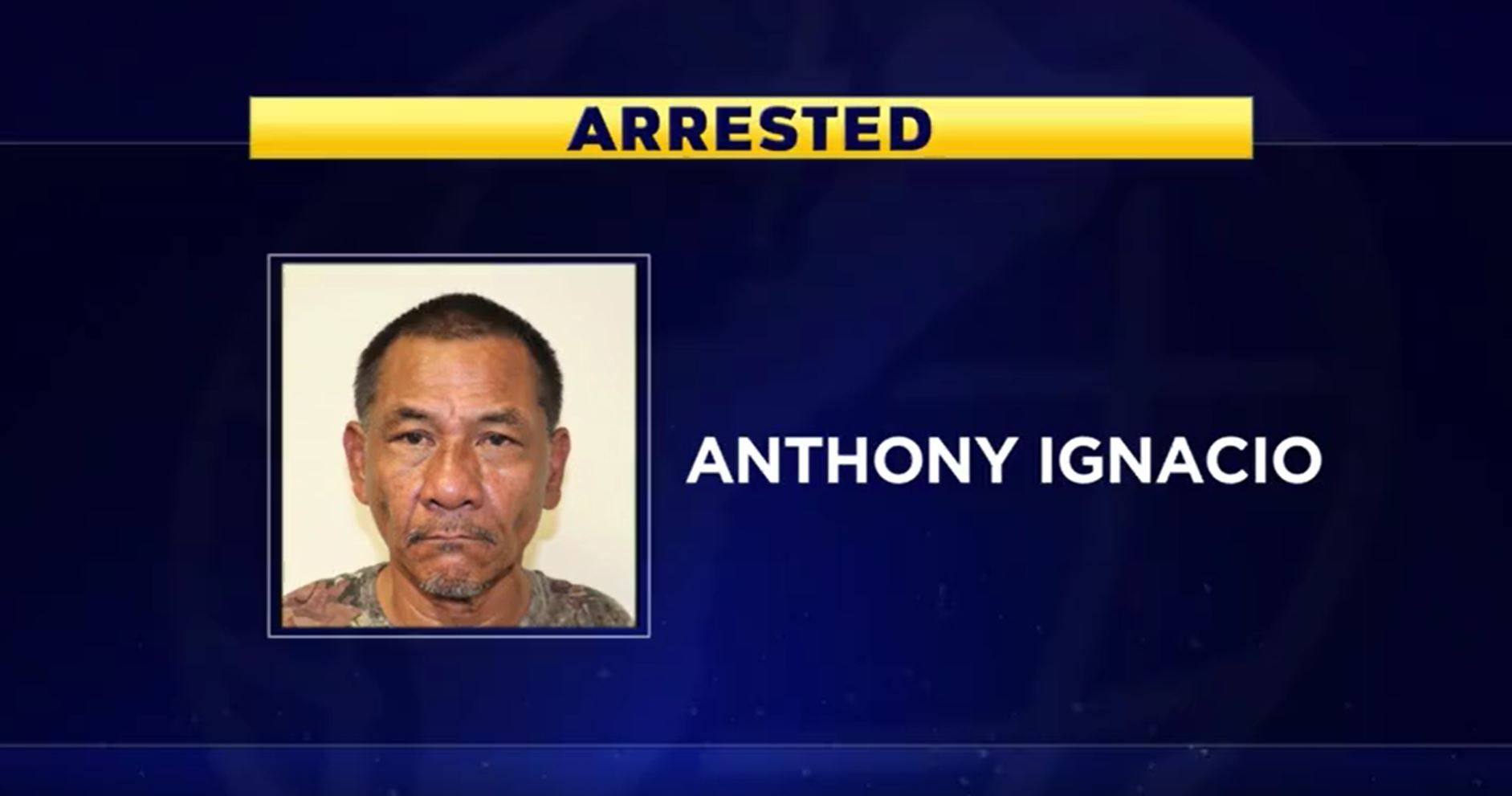 Anthony Ignacio admits to starting fires near cemetery KUAM