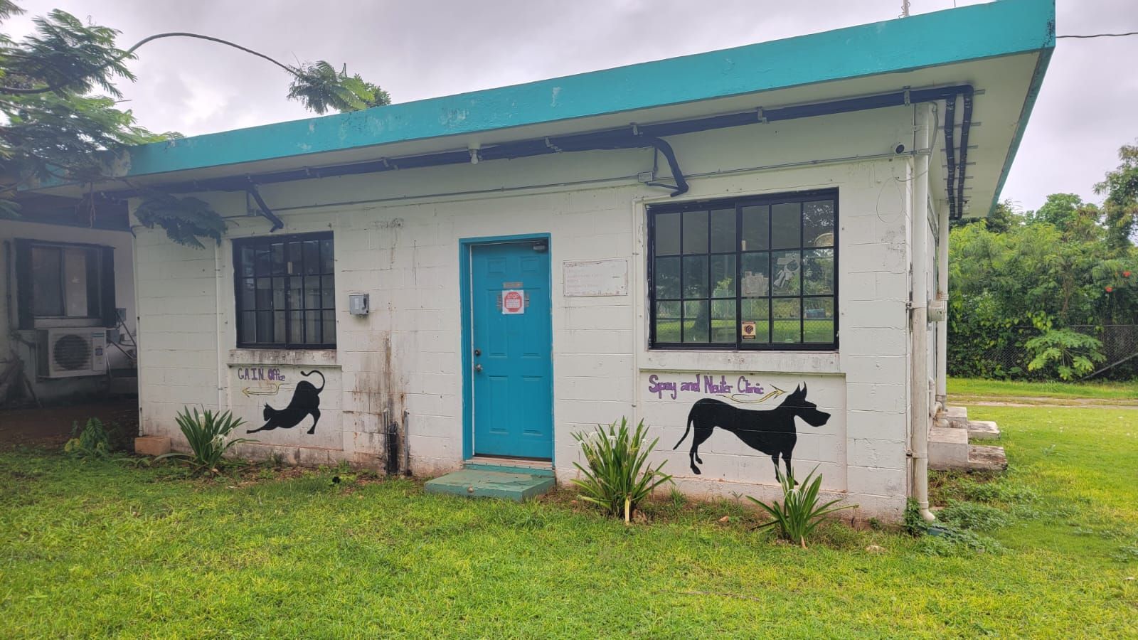 Animal neutering program returns to GAIN's Yigo animal shelter KUAM