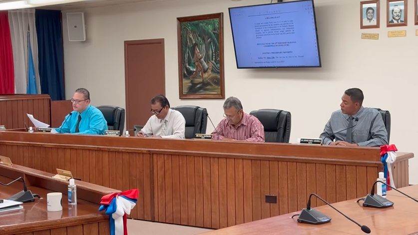 Cruz, Magofna appointed to fill vacancy left by Rota Sen. Mendiola - Vimarsana News