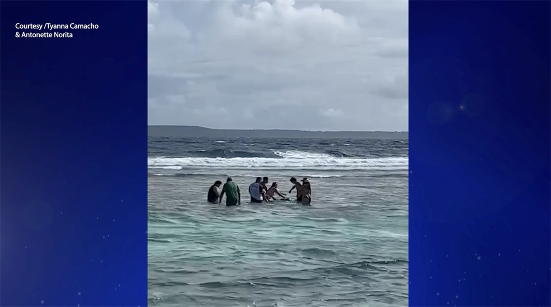 Saipan family rescues critically endangered turtle trapped in fishing net - Vimarsana News