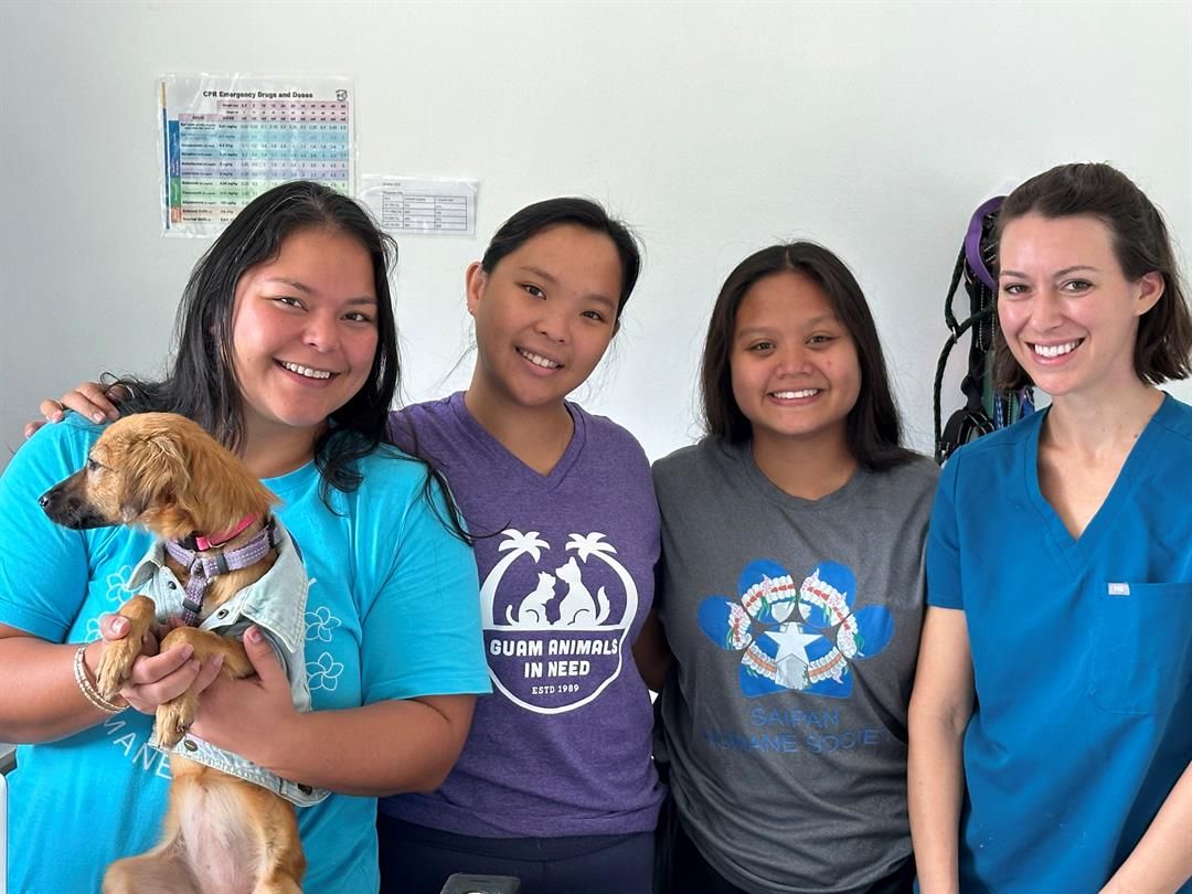 Saipan Humane Society pushes for humane euthanasia bill