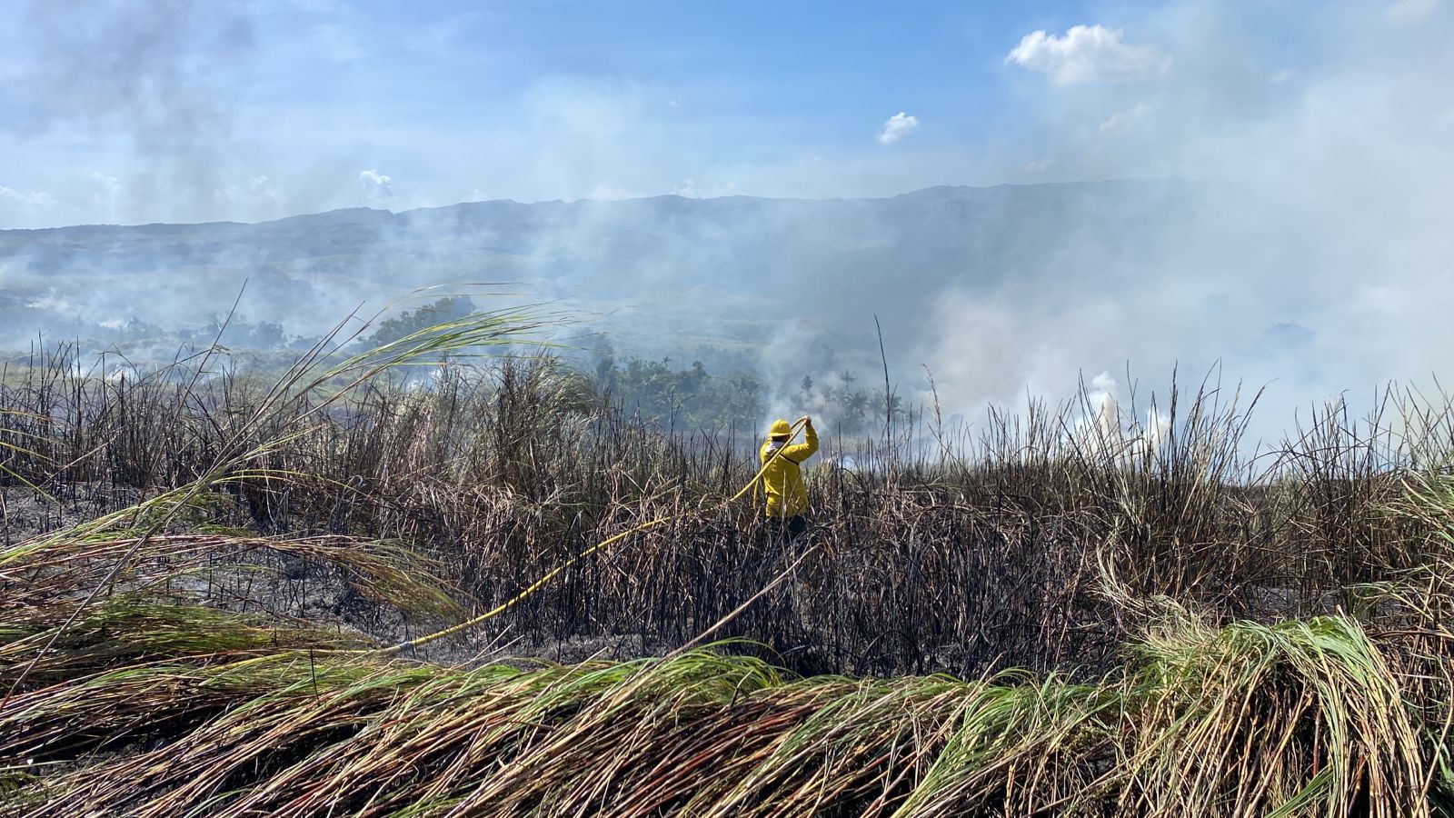 Fire on Cross Island Road - Vimarsana News