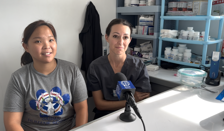 Saipan Humane Society speaks out after multiple dogs shot - Vimarsana News