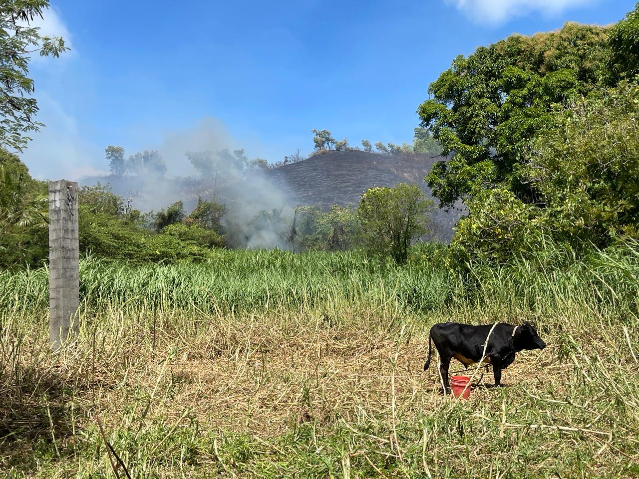 Investigators searching for arsonist responsible for Malesso' wildfire - Vimarsana News