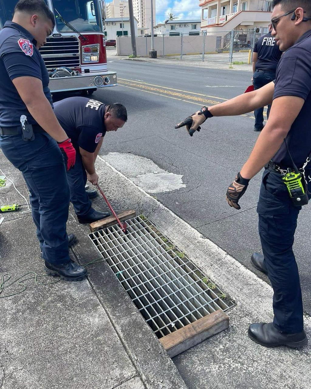 Firefighters rescue kitten trapped in storm drain - Vimarsana News