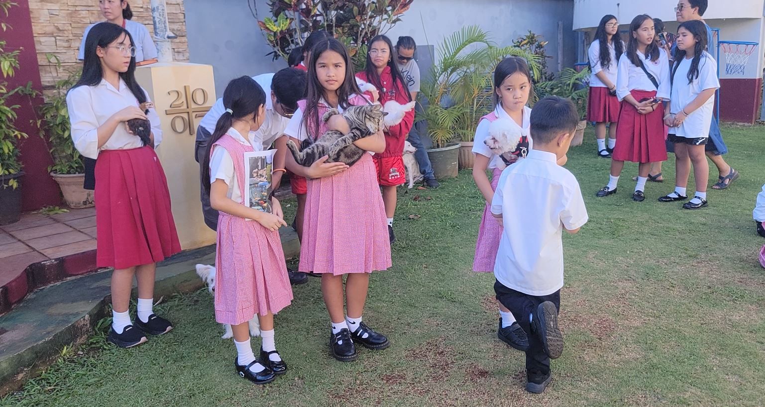Dogs, cats, chickens and turtle blessed at Santa Barbara Catholic School - KUAM News
