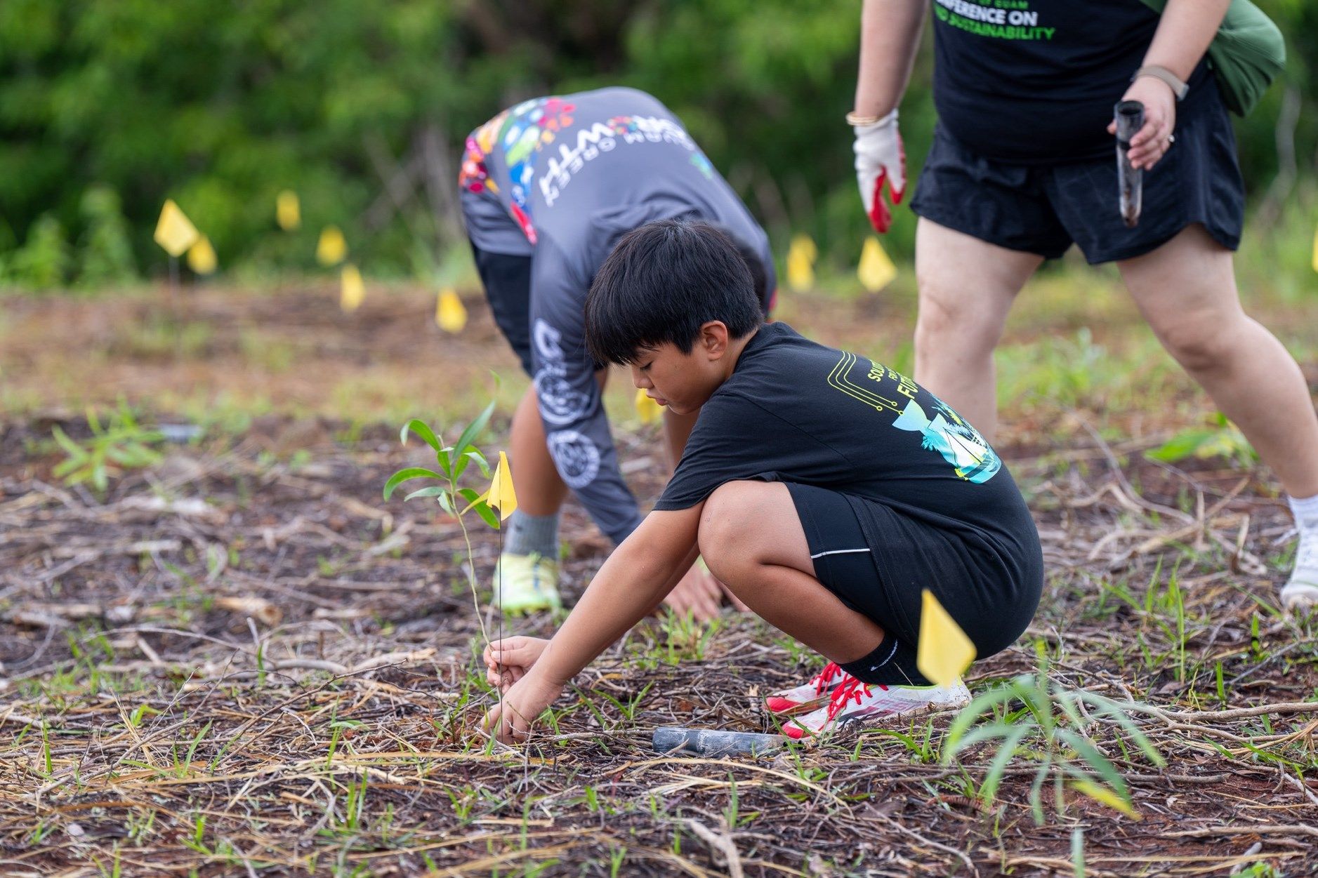 GROW in Malojloj tree planting event postponed ahead of poor weather conditions this weekend