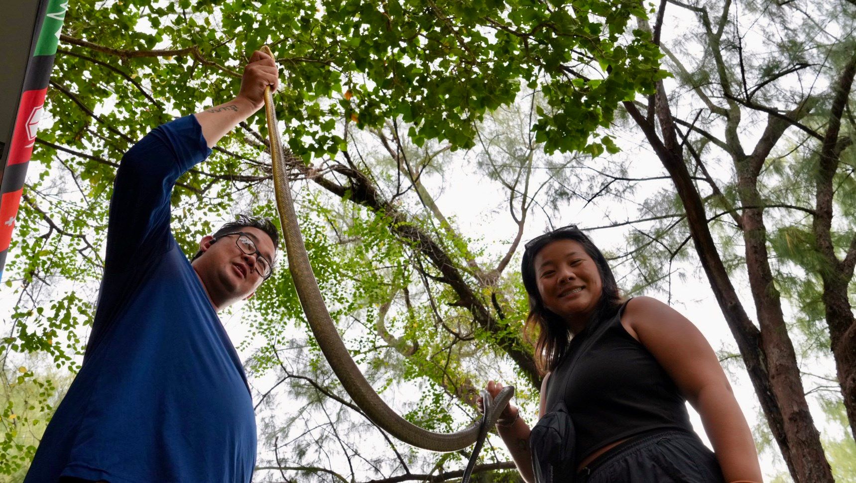 University of Guam and NAVFAC join forces to tackle Brown Tree Snake invasion with workshop