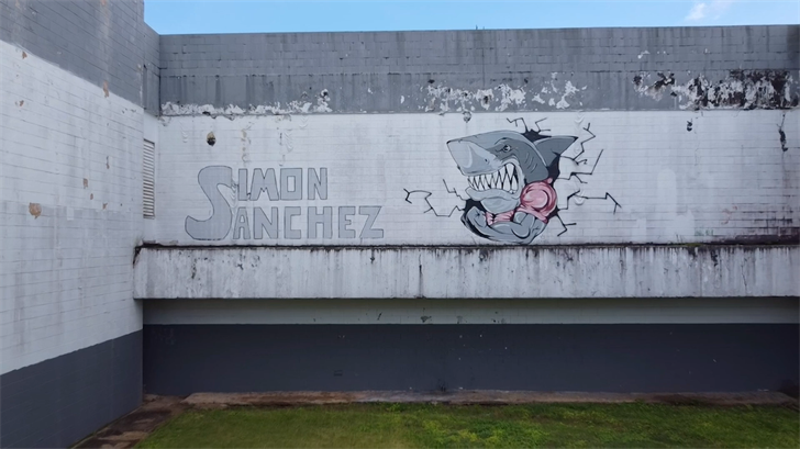 Protest triggers mandatory delay in Simon Sanchez High construction