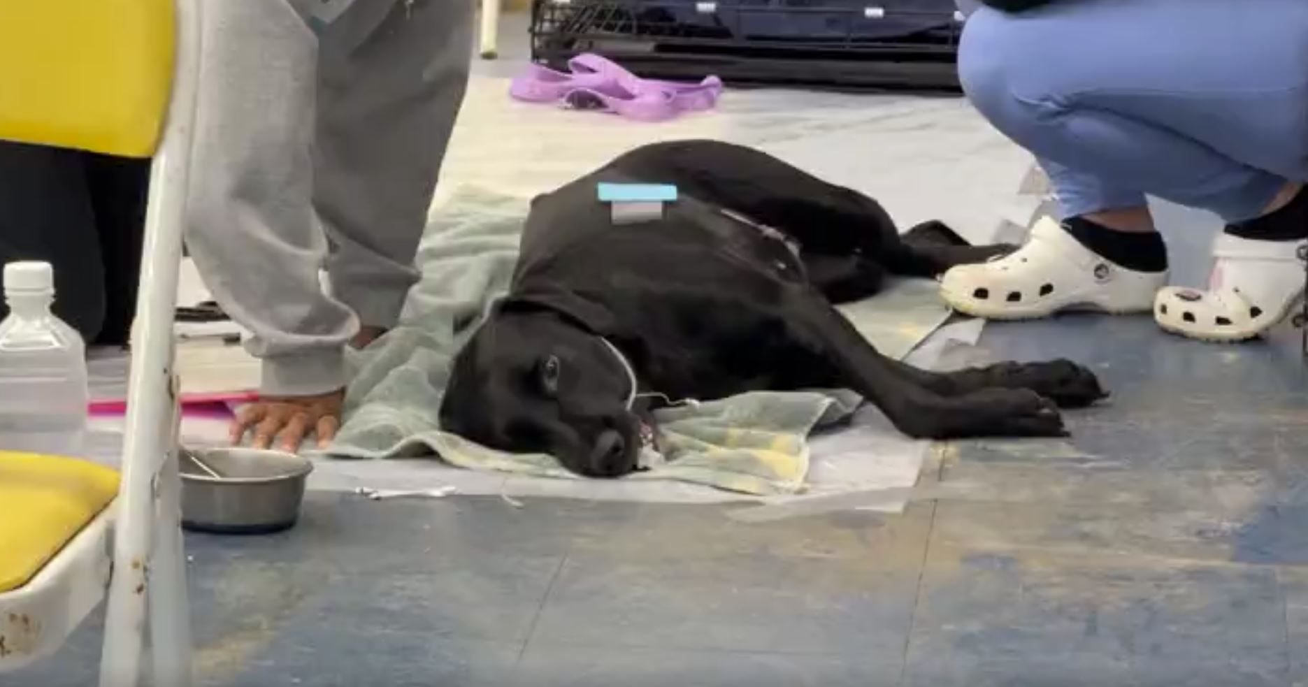 SNIP Clinic returns to Sinajana to kick-off 2026