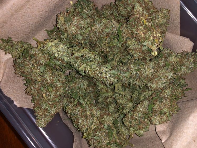 Cannabis industry stakeholders invited to attend summit