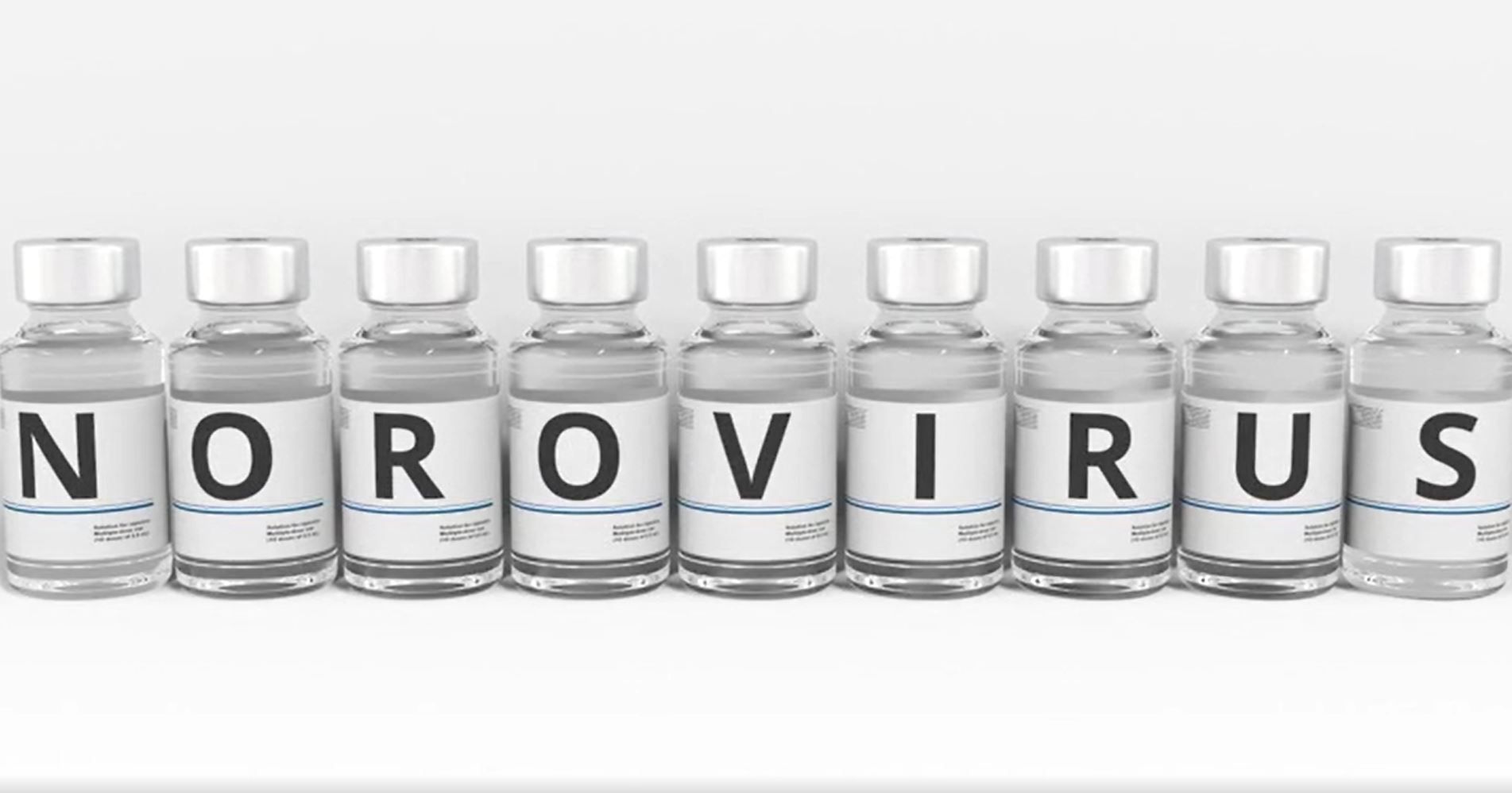 Stomach flu on the rise nationally and abroad, health officials urge prevention