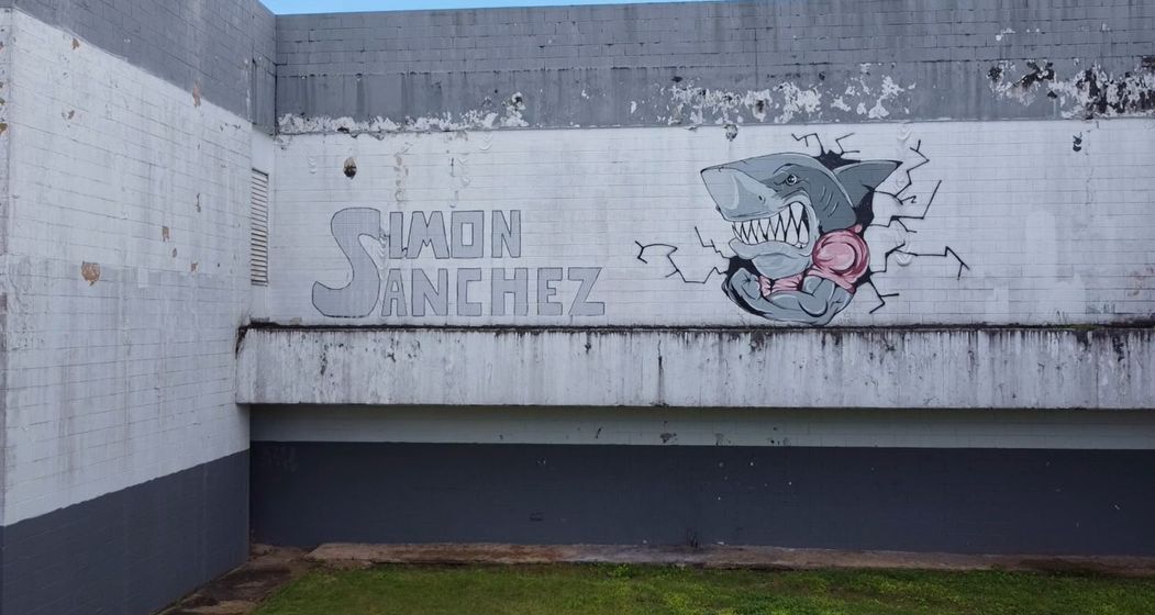 DPW pursues green light from OPA for Sanchez project amid protest