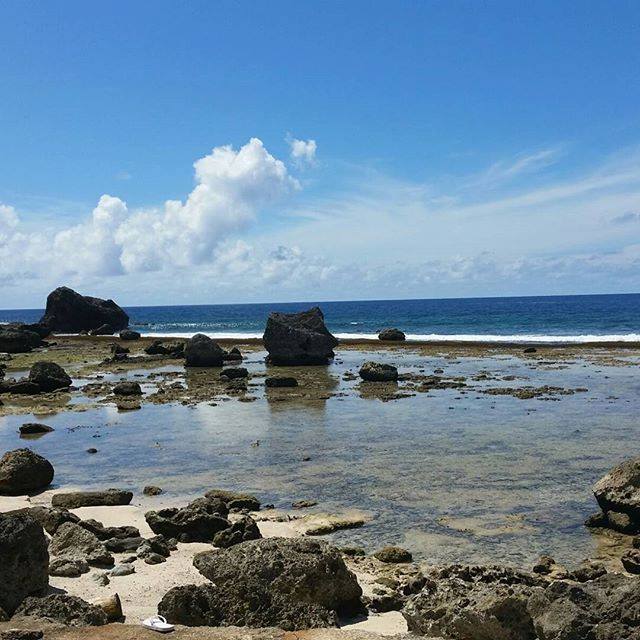 Guam Nature Alliance hosting tide pool exploration - KUAM.com-KUAM News ...