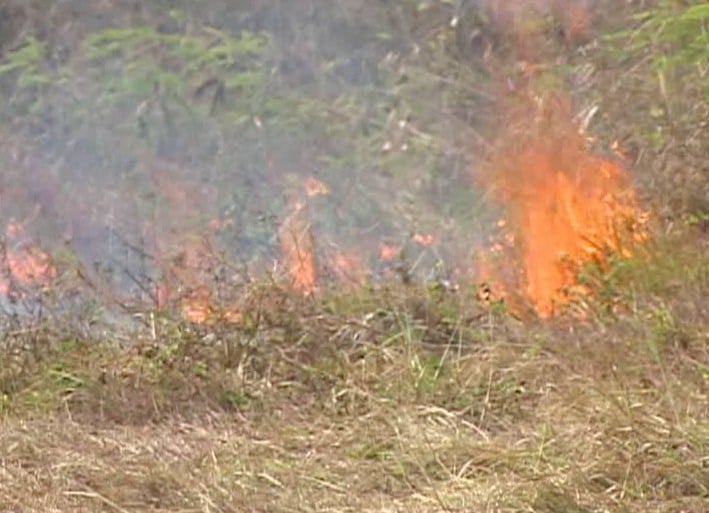 Stubborn grass fires being fueled by dry, windy conditions